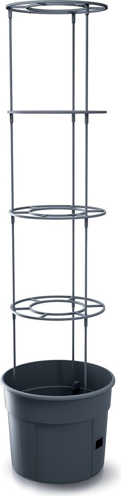 A tomato planter with a support structure.