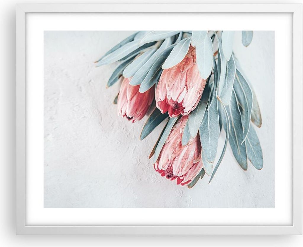 Gerahmtes Poster - Weißer Rahmen - Blume Eukalyptus Australier - 50x40 cm - Wand Bild - Wanddeko - Wandbilder - Kunstposter - Wandposter - Bilderr...