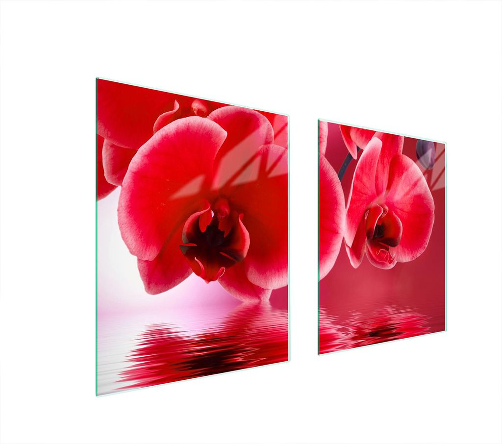 Glasschutzplatte Für Herd 85X52 Orchidee