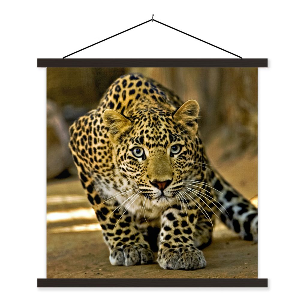 MuchoWow® Textilposter Leopard - Raubtier - Porträt 60x60 Produktbild 