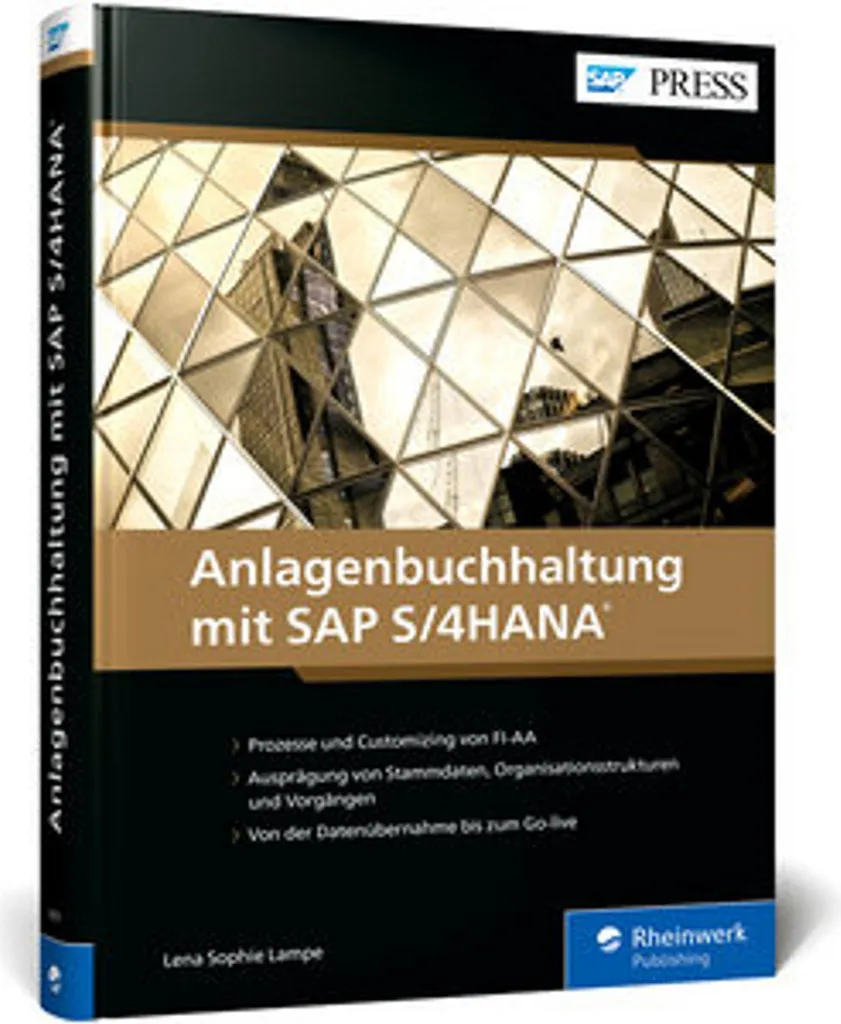 Guide SAP S/4HANA : Réussir sa Comptabilité des Immobilisations en Entreprise