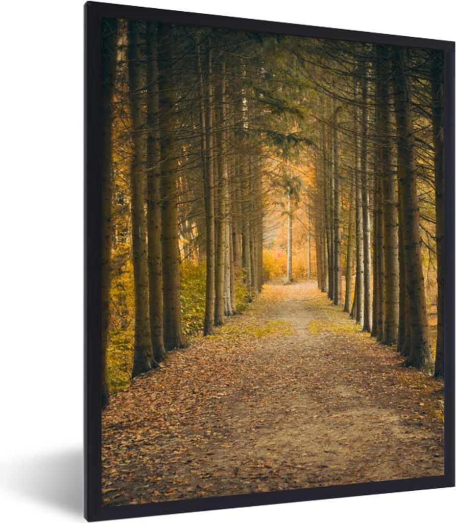 MuchoWow Gerahmtes Poster Pfad - Bäume - Wald 60x80 cm - Poster mit Schwarzem Bilderrahmen Wandposter Rahmen Foto Bilder - Premium - Wanddeko Wo...