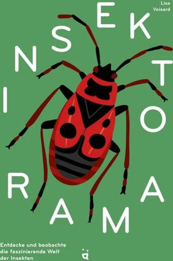 Insektorama : Observer les Insectes sans Risque ni Peur pour les Enfants