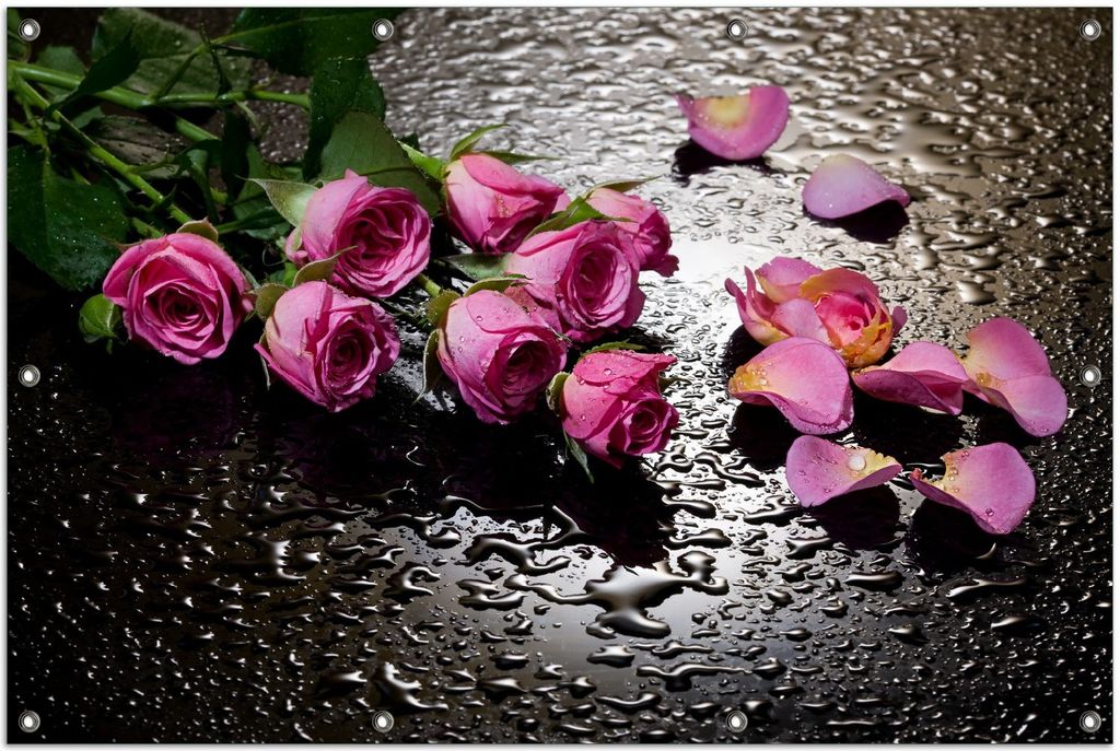 Wallario Outdoor-Poster für Garten oder Balkon, Motiv Pinke Rosen mit Wassertropfen, in ca. 100 x 150 cm