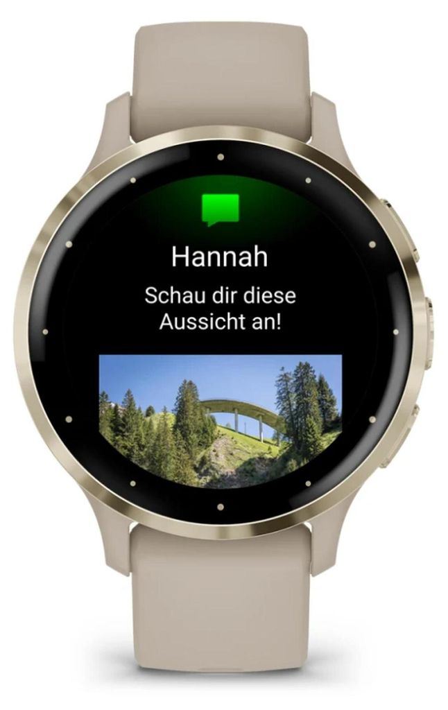 Garmin 010-02785-02 Garmin Venu 3S Gold Grey 41mm Android Imagen del producto 