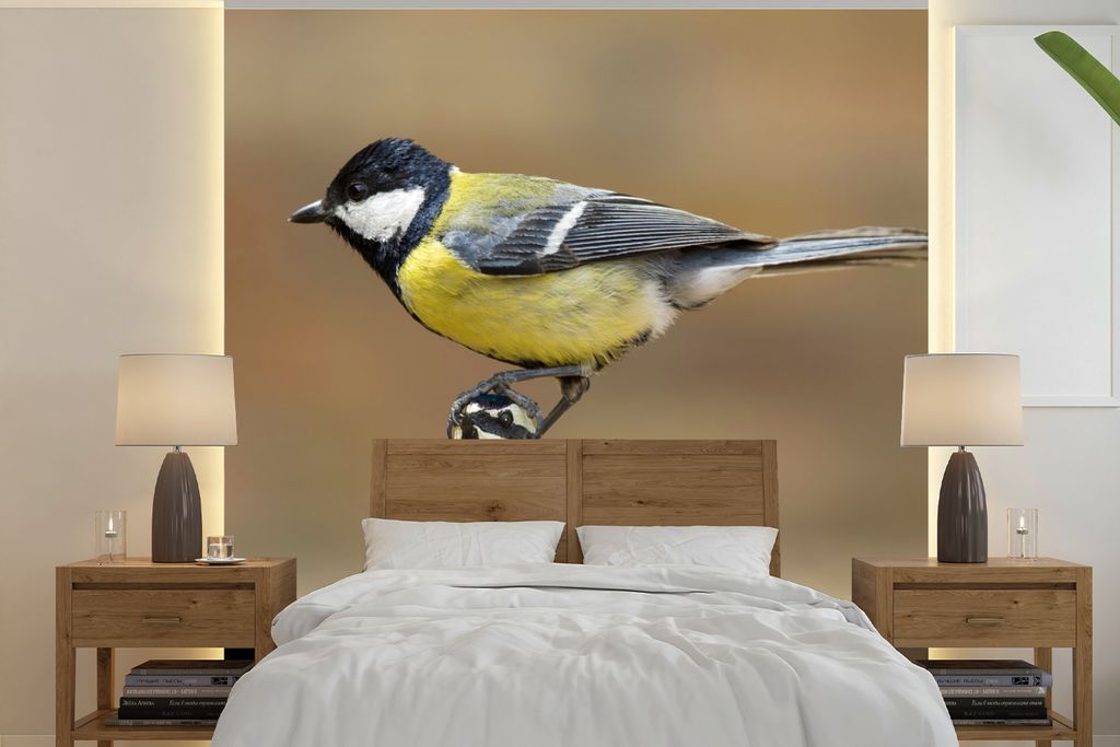 MuchoWow Fototapete für Wohnzimmer oder Schlafzimmer Wandtapete Vinyl Motivtapete Eine Kohlmeise sitzt auf der Spitze einer anderen Kohlmeise - ...