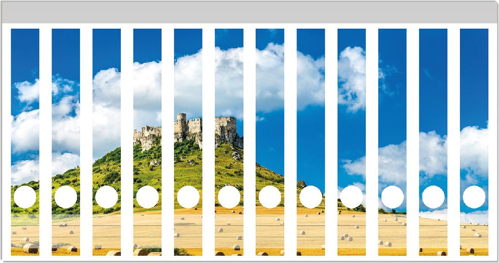 Wallario Ordnerrücken Sticker, selbstklebend für schmale Ordner, 12 Stück, Motiv Alte Burg über Feldern