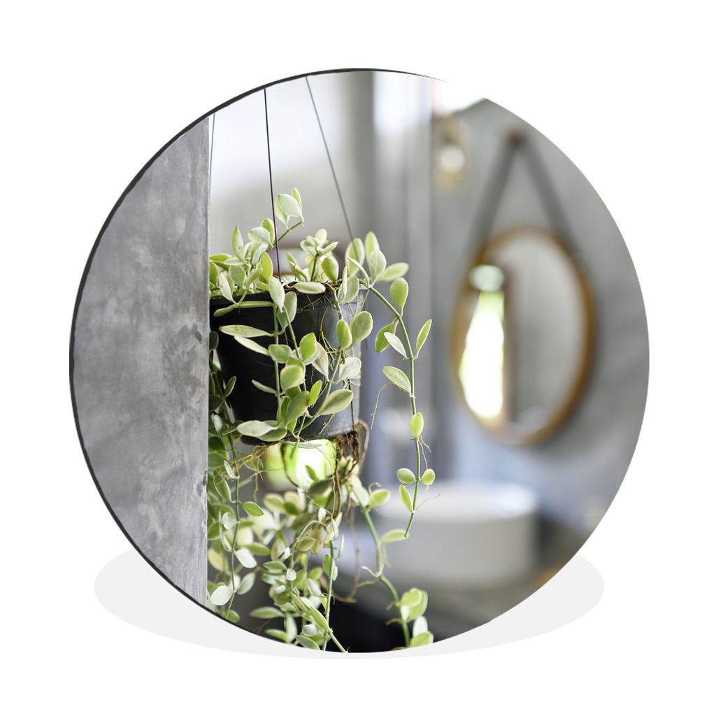 MuchoWow Aluminium Wandkreis Kleine Hängepflanze im Badezimmer Ø 60 cm Wanddeko Modern Wohnzimmer - Wand Kreis - Wandbild - Schlafzimmer - Alum...