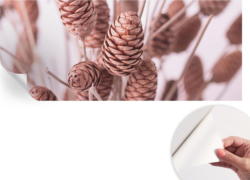 Selbstklebende Wandtapete - Dekorative Tapete für Wohnzimmer - Klebefolie für Wandbilder - Tapetenfolie für Wanddekoration - 208x146 cm - Natür...