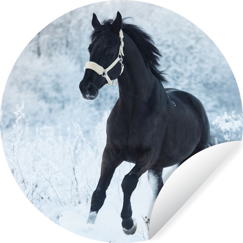 MuchoWow Runde Wandtattoo - Wandsticker Tapete Aufkleber Pferd - Schnee - Wald Ø 100 cm Selbstklebend und Repositionierbar - Wandaufkleber - Kre...