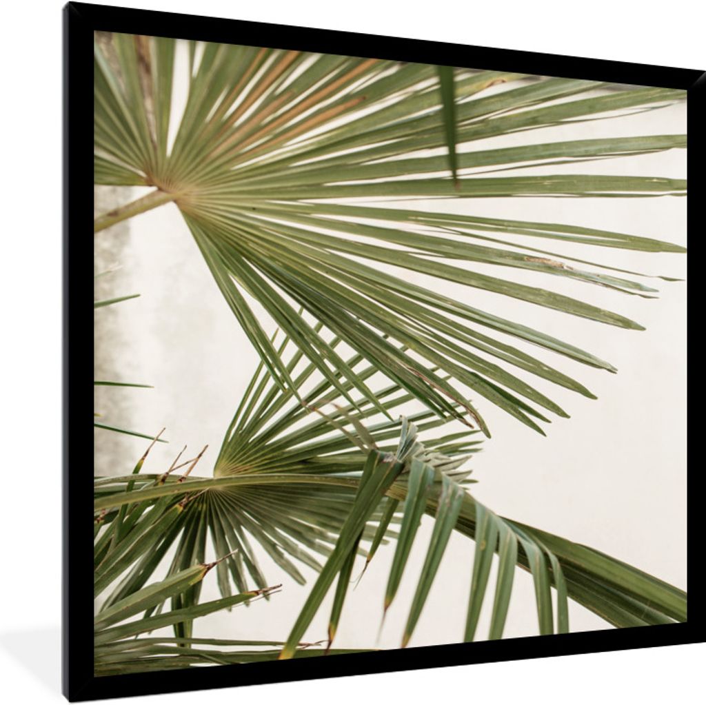 MuchoWow Gerahmtes Poster Palme - Himmel - Blätter 40x40 cm - Poster mit Schwarzem Bilderrahmen Wandposter Rahmen Foto Bilder - Mit Rahmen - Wan...