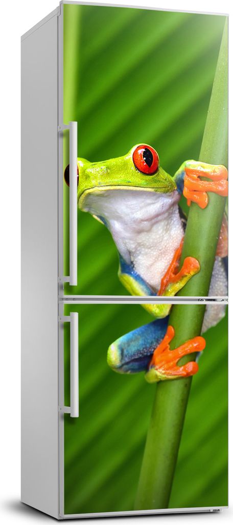 Tulup Kühlschrankdekoration - 70x190 cm - Aufkleber auf dem Kühlschrank - Laubfrosch
