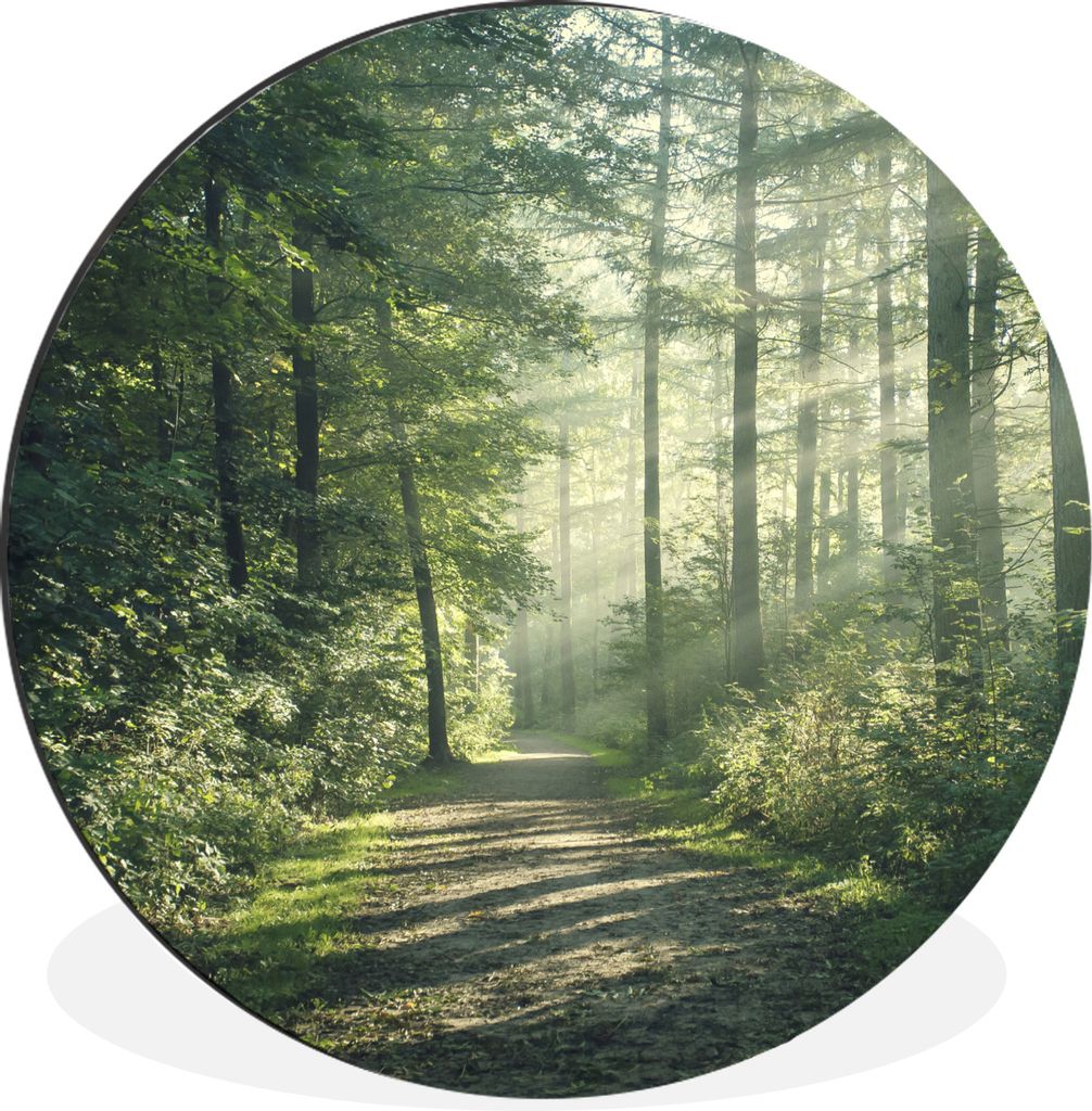 MuchoWow Aluminium Wandkreis Wald - Weg - Sonne - Bäume - Grün - Natur Ø 90 cm Wanddeko Modern Wohnzimmer - Mauerkreis - Wandbilder - Runde Bi...
