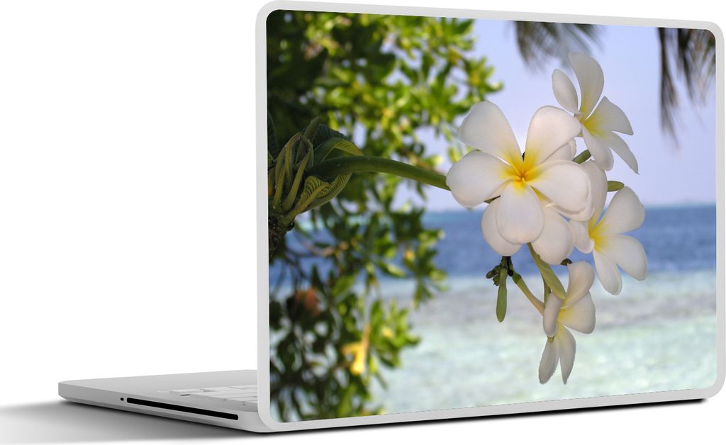 MuchoWow Laptop Aufkleber Sticker Cover Plumeria-Blüten in einer tropischen Gegend 31x22.5 cm - Laptop-Deko