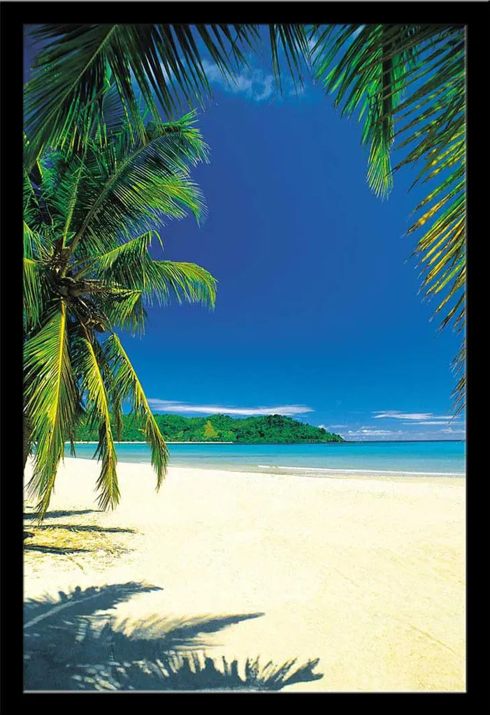 Décoration Murale Poster Plages Palm Beach IntoTheBlue Sous Cadre Noir