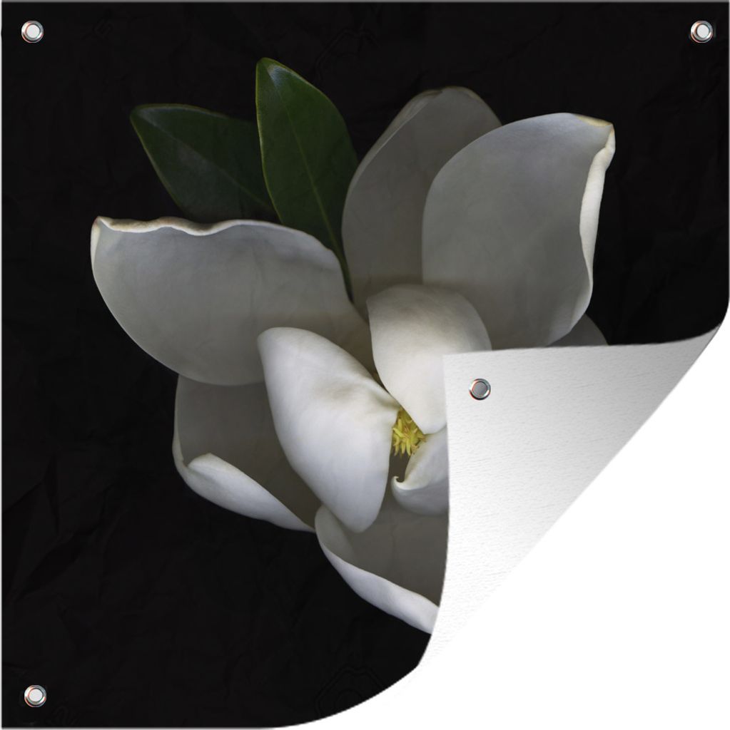 MuchoWow 100x100 cm Outdoor-Poster Gartendeko Sichtschutz Garten Poster für den Garten Magnolie - Makro - Blumen