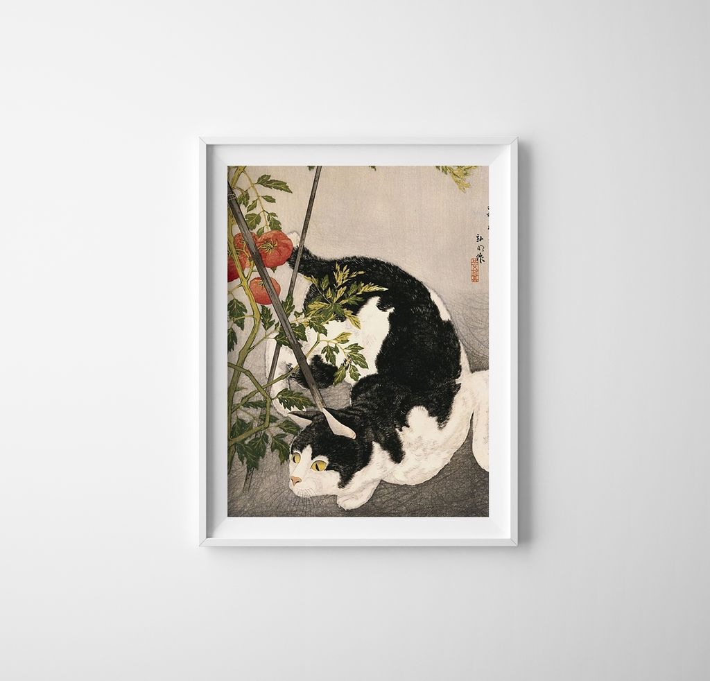 Poster - Canvas - Leinwand - 21 cm x 29,7 cm - Fotoposter - Leinwandkunst - Katze Um die Tomate