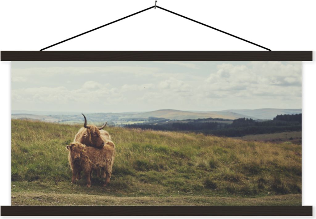 MuchoWow Textilposter Schottische Hochlandrind - Gras - Wolken - Tiere 150x75 cm mit schwarzem Rahmen - Posterleiste