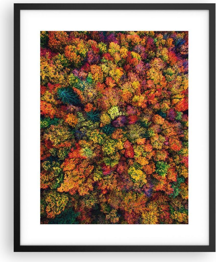 Gerahmtes Poster - Schwarzer Rahmen - Herbst Perspektive Vogel - 40x50 cm - Wand Bild - Wanddeko - Wandbilder - Kunstposter - Wandposter - Bilderra...