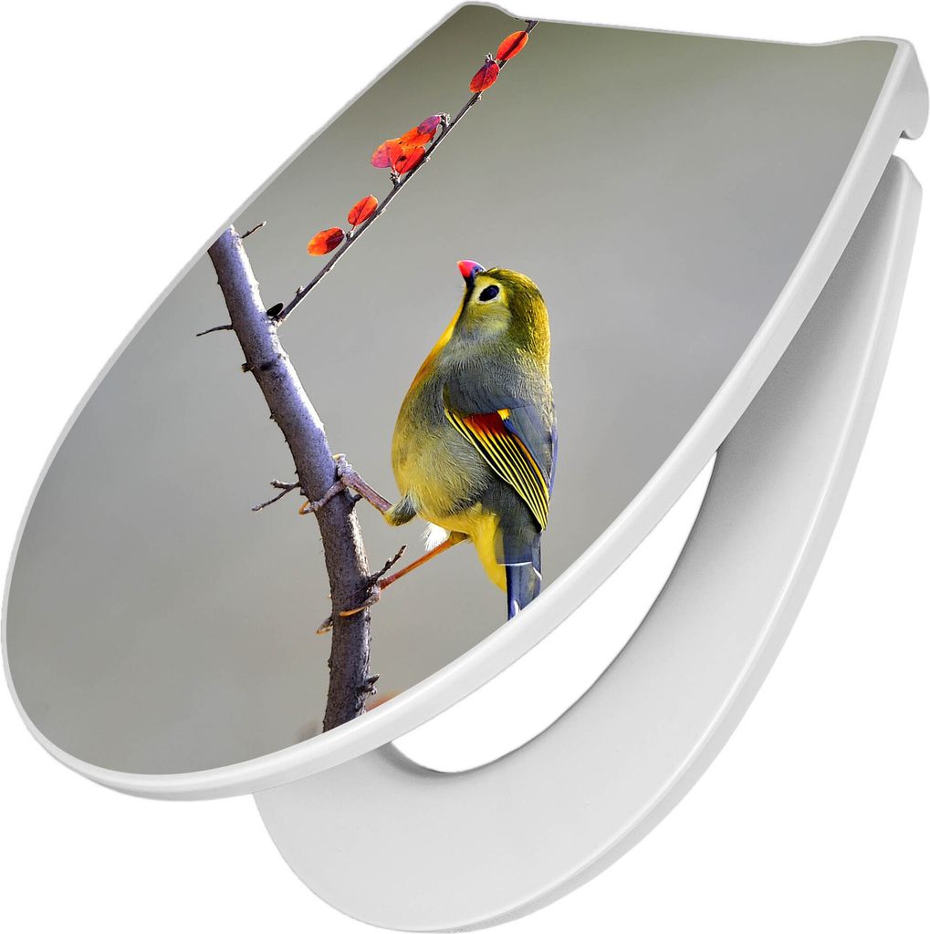 banjado Premium Toilettendeckel mit Absenkautomatik 44x37cm - Herbst Vogel - WC Brille Soft Close - hygienischer Toilettendeckel/Klodeckel Duroplas...