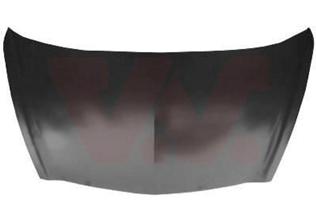 VAN WEZEL Motorhaube 2543660 vorne