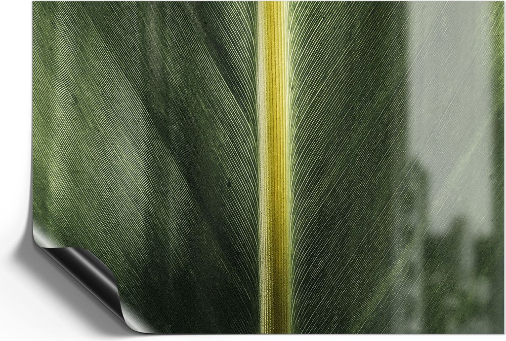 DEQORI Magnetmatte Universal 30x21 cm (A4) 'Grüne Blattader' Magnetfolie Kalender Planer