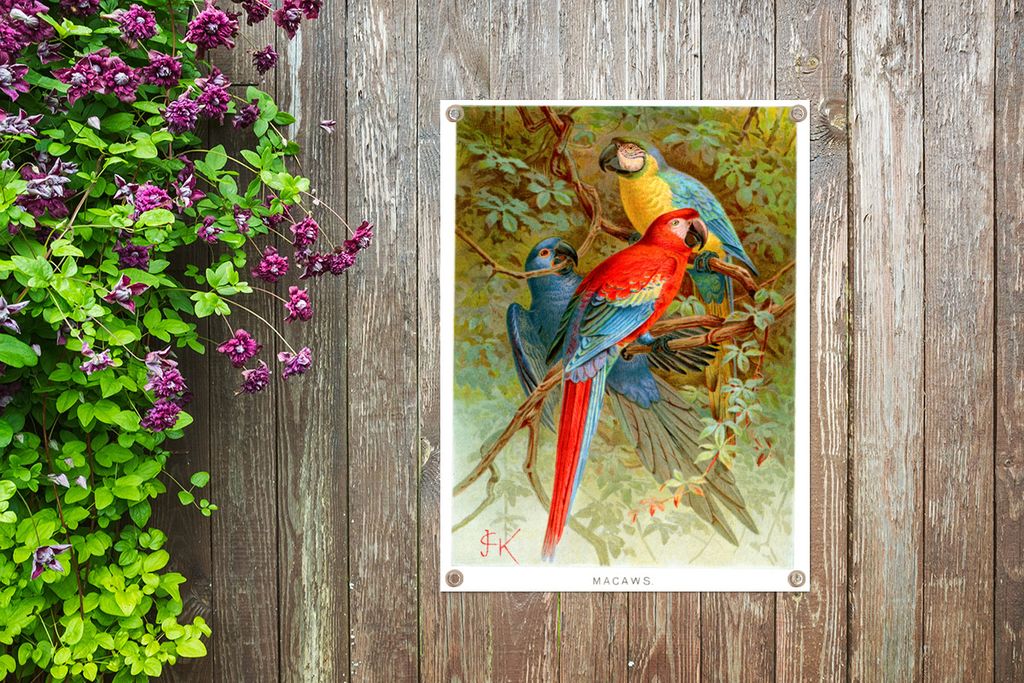 MuchoWow 60x80 cm Outdoor-Poster Gartendeko Sichtschutz Garten Poster für den Garten Eine Illustration von drei Papageien in einem Baum