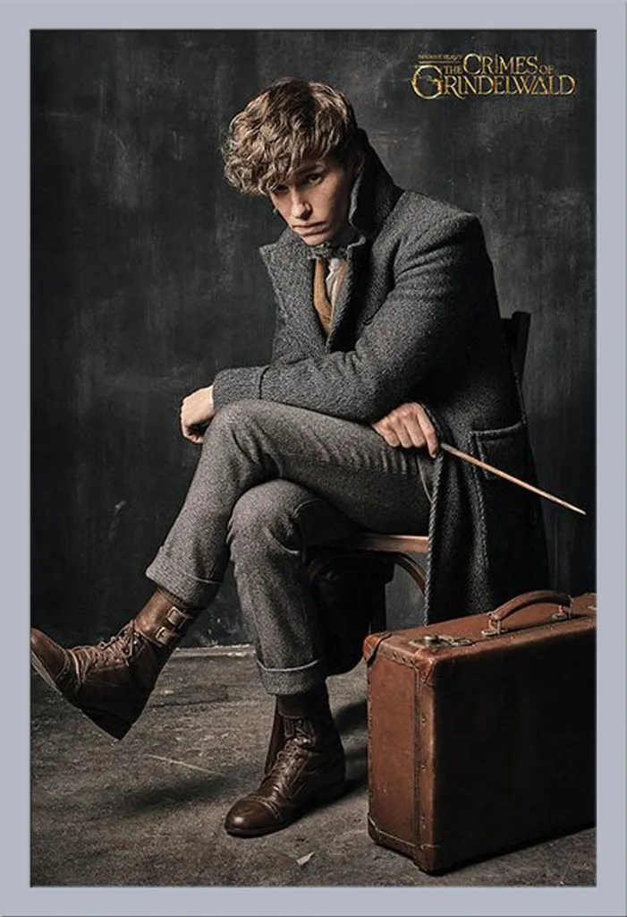 Maxi Poster Newt Scamander + Cornice Shinsuke Argento Disco Acrilico