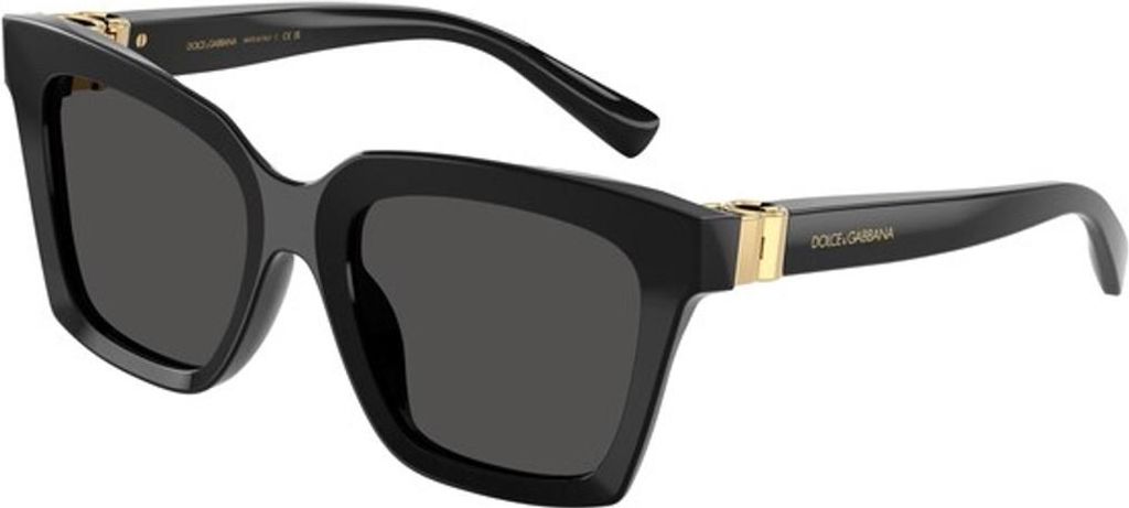 DOLCE & GABBANA Sonnenbrille Sunglasses DG 4498 501/87