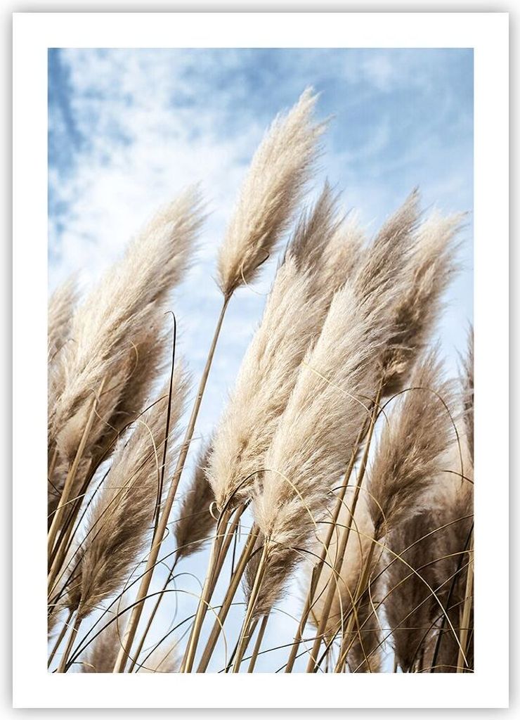 Poster - Poster ohne Rahmen - Stock Himmel Boho - 50x70 cm - Wand Bild - Wanddeko - Wandbilder - Kunstposter - Wandposter - Bilder - Kunstdruck - W...