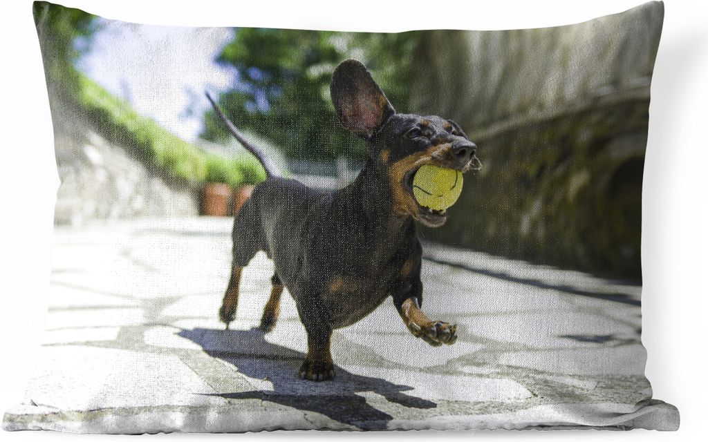 MuchoWow Outdoor Kissen - Ein schwarzer Dachshund mit einem Tennisball - 50x30 cm - Wetterfest - Lounge Kissen - Sofa kissen - Wohnzimmer Dekoration