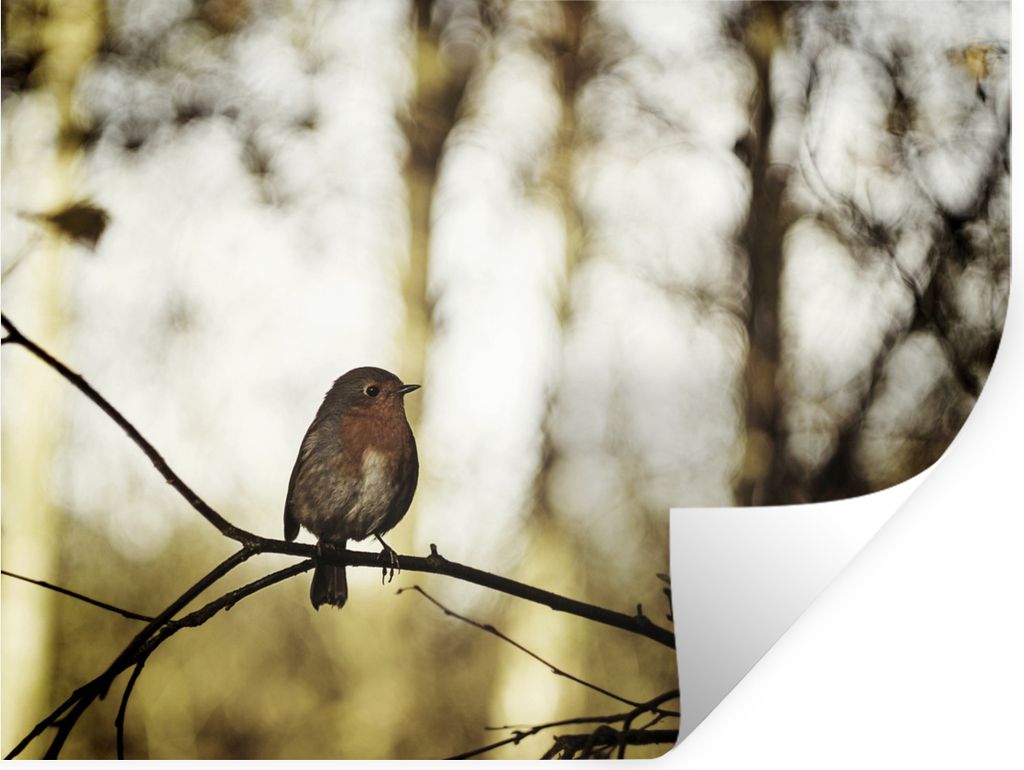 MuchoWow - Faltenfrei