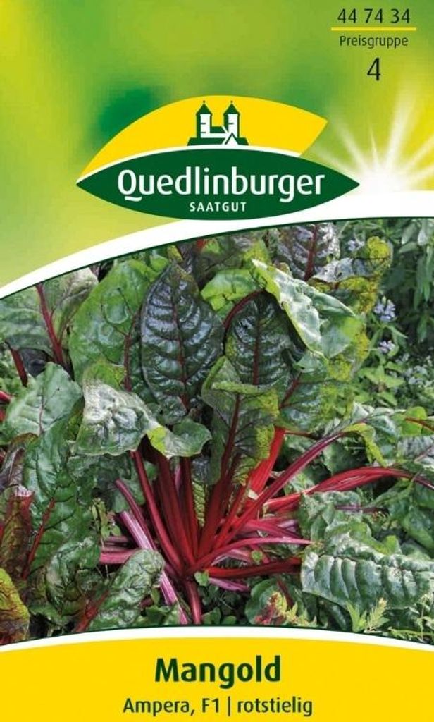 Quedlinburger Saatgut - Mangold Ampera F1 - Samen - 447434