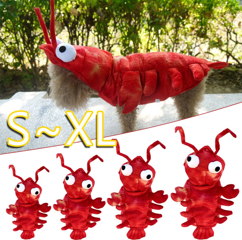 Zimní psí oblečení Halloween Humr Kostým Kočka Cosplay Obrázek produktu 