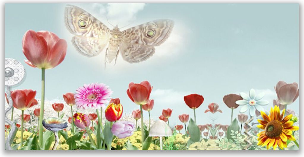 Glasbilder 120x60 Wandbild Druck auf Glas Blumen Natur