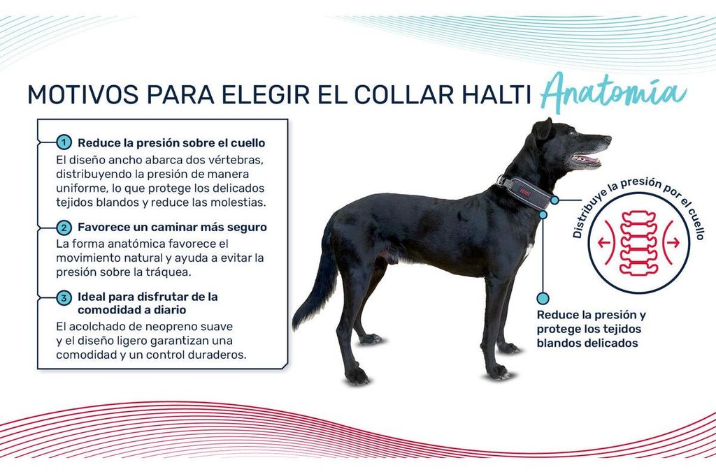 Hundehalsband Company of Animals Grau
