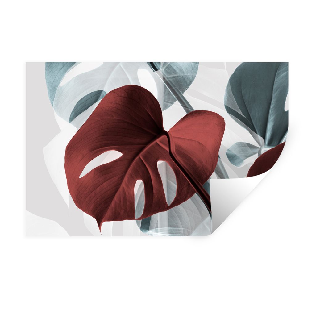 MuchoWow Wandtattoo Wandsticker Wandaufkleber Monstera - Rot - Pastell - Stilleben 120x80 cm Selbstklebend und Repositionierbar - Selbstklebend -...