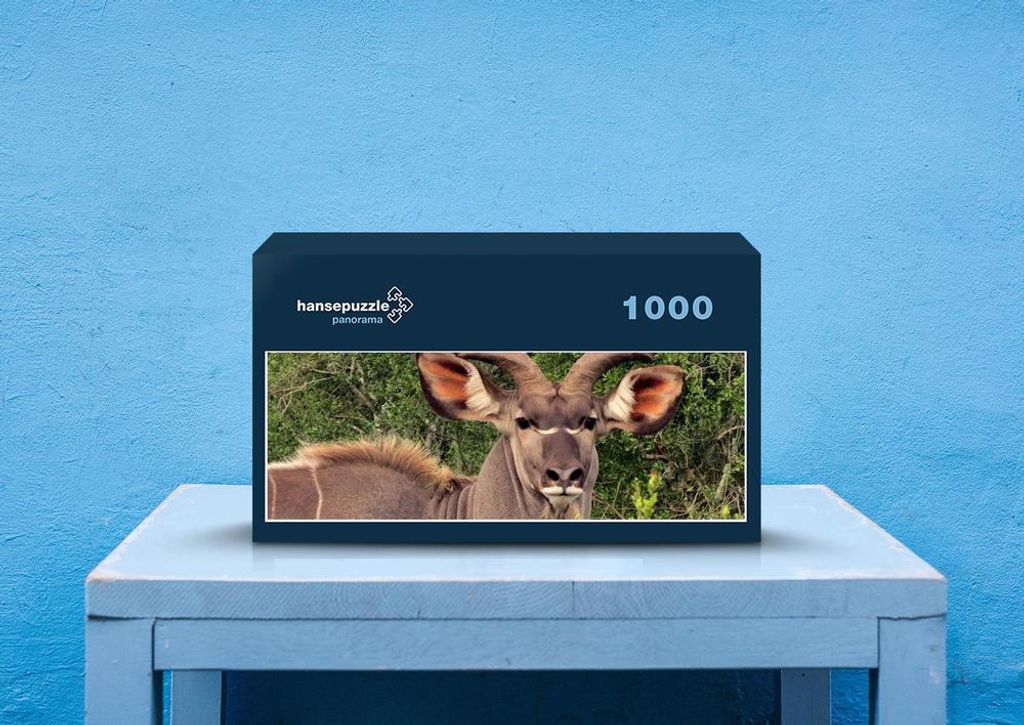 hansepuzzle 75161 - Safari Puzzle, 1050 Teile, Tierwelt, 60,0 x 46,0cm mit hochwertiger Aufbewahrung, Kartonbox und wiederverschließbarem Beutel