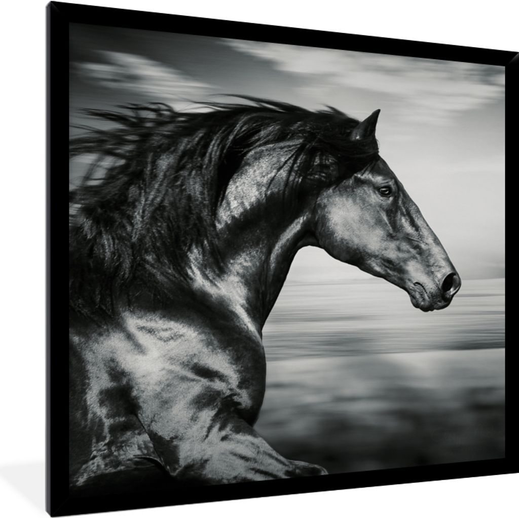 MuchoWow Gerahmtes Poster Pferd - Tiere - Schwarz - Weiß 40x40 cm - Poster mit Schwarzem Bilderrahmen Wandposter Rahmen Foto Bilder - Mit Rahmen...