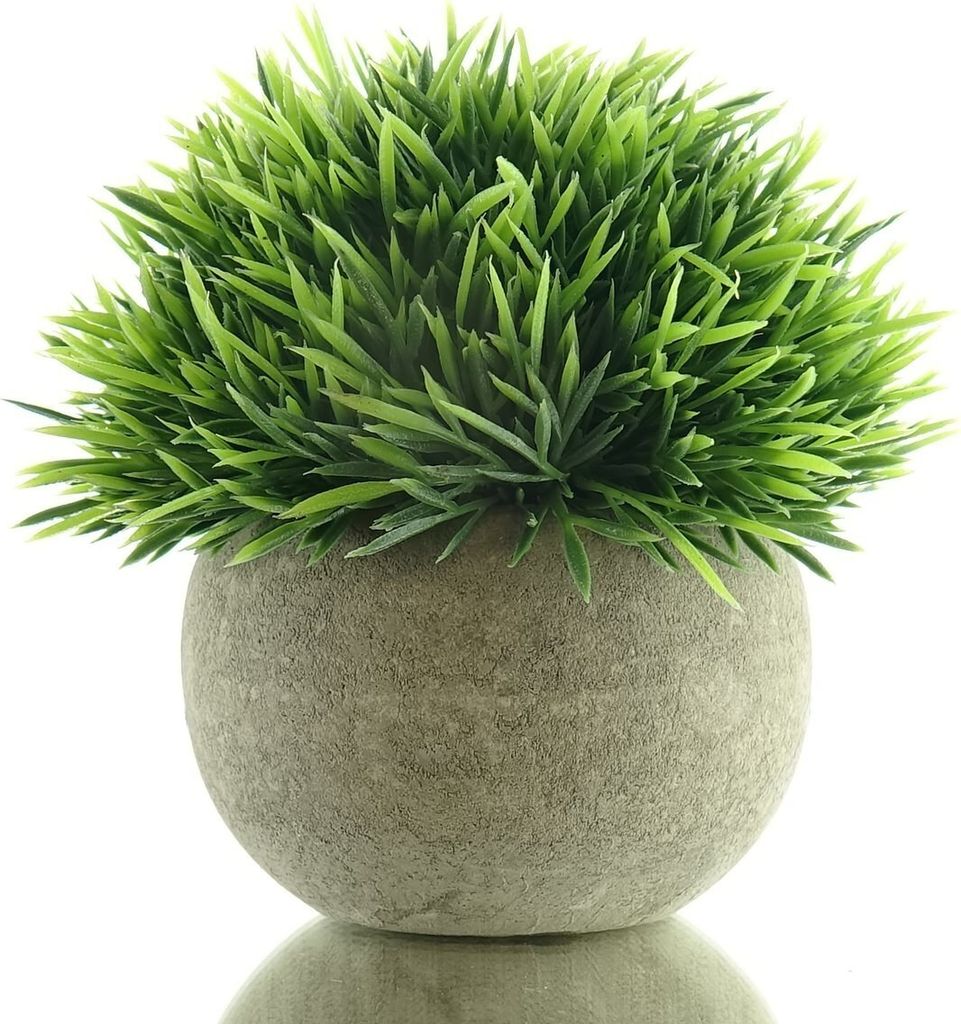 GASPER Knuffige Grashalbkugel im Betontopf 14 cm - Produktbild 