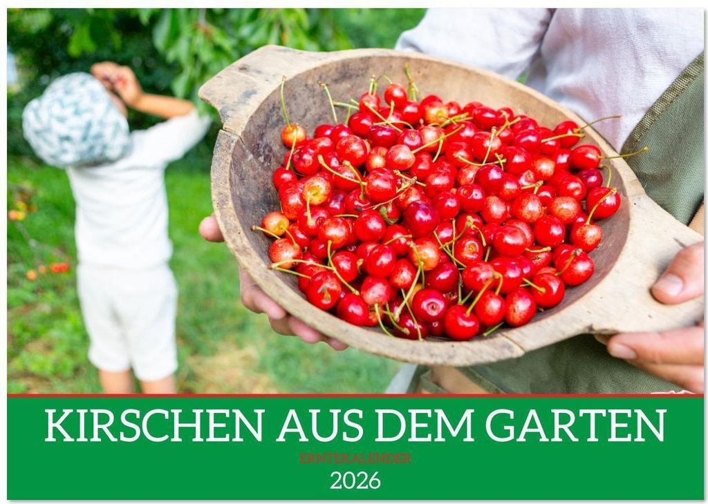 Kirschen aus dem Garten – Erntekalender (Wandkalender 2026 DIN A4 quer), CALVENDO Monatskalender