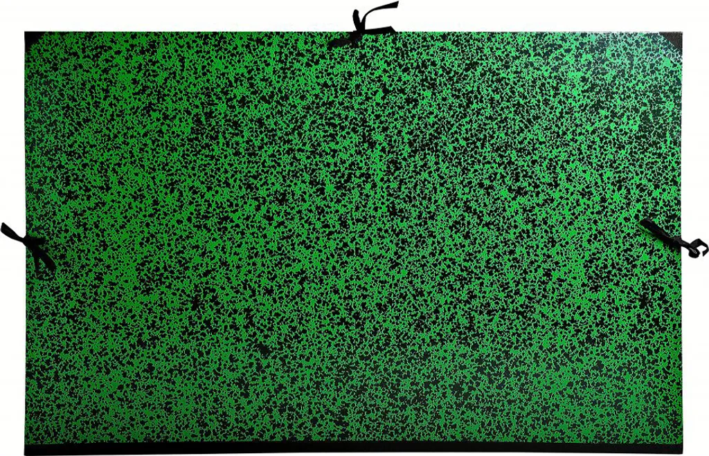 Dossier à dessin Annonay 50x75 cm avec rubans - Carton vert rigide