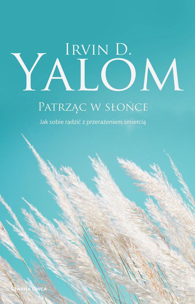 In die Sonne blicken. Wie man mit ... umgeht – Irvin D. Yalom