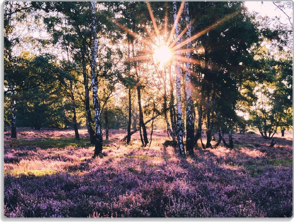 Wallario Glasunterlage, Schneidebrett aus Glas, Größe 30 x 40 cm, Motiv Heide im Morgenlicht