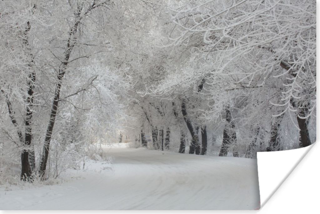 MuchoWow Poster Bäume - Schnee - Winter 120x80 cm - Bilder