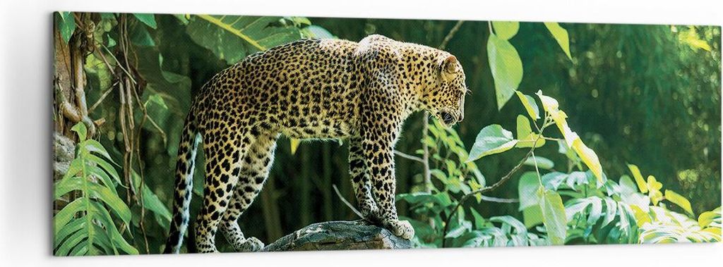 Bild auf Leinwand - Leinwandbild - Einteilig - Dschungel Leopard Panther - 160x50cm - Wand Bild - Wanddeko - Wandbilder - Leinwanddruck - Bilder - ...