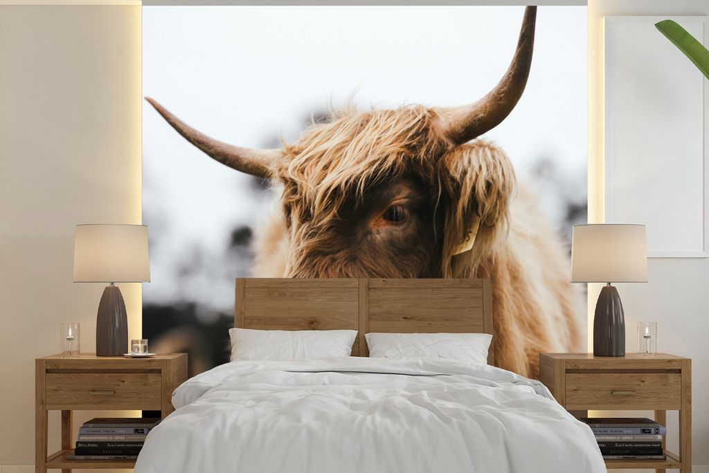 MuchoWow Fototapete für Wohnzimmer oder Schlafzimmer Wandtapete Vinyl Motivtapete Schottischer Highlander - Tiere - Hörner - 280x280 cm - Hinte...