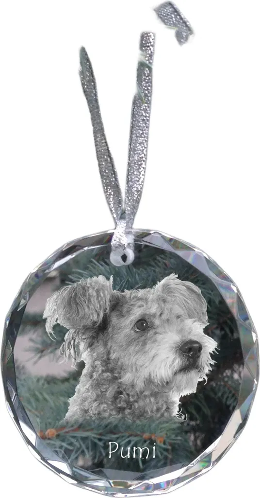 Foto Cane Pumi in Cristallo Art-Dog - Regalo Natale Personalizzato Unico