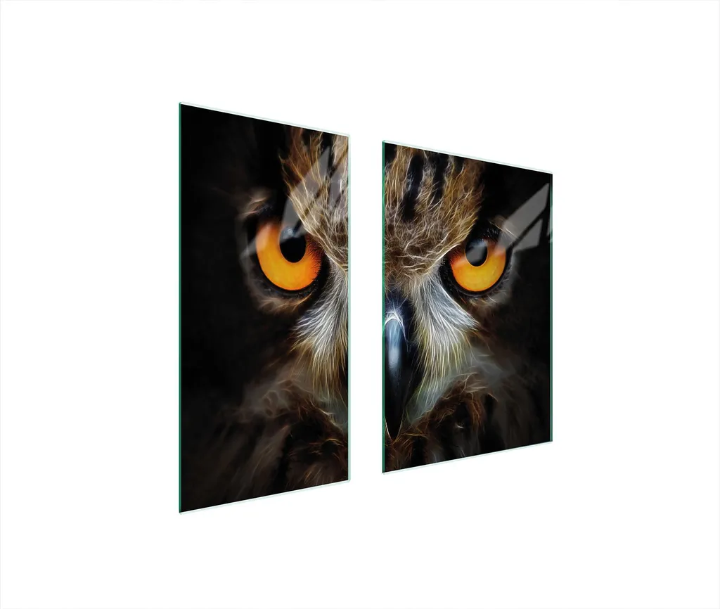 Copri Piano Cottura 75x52 in Vetro Temperato Occhi di Gufo - 2 Pezzi