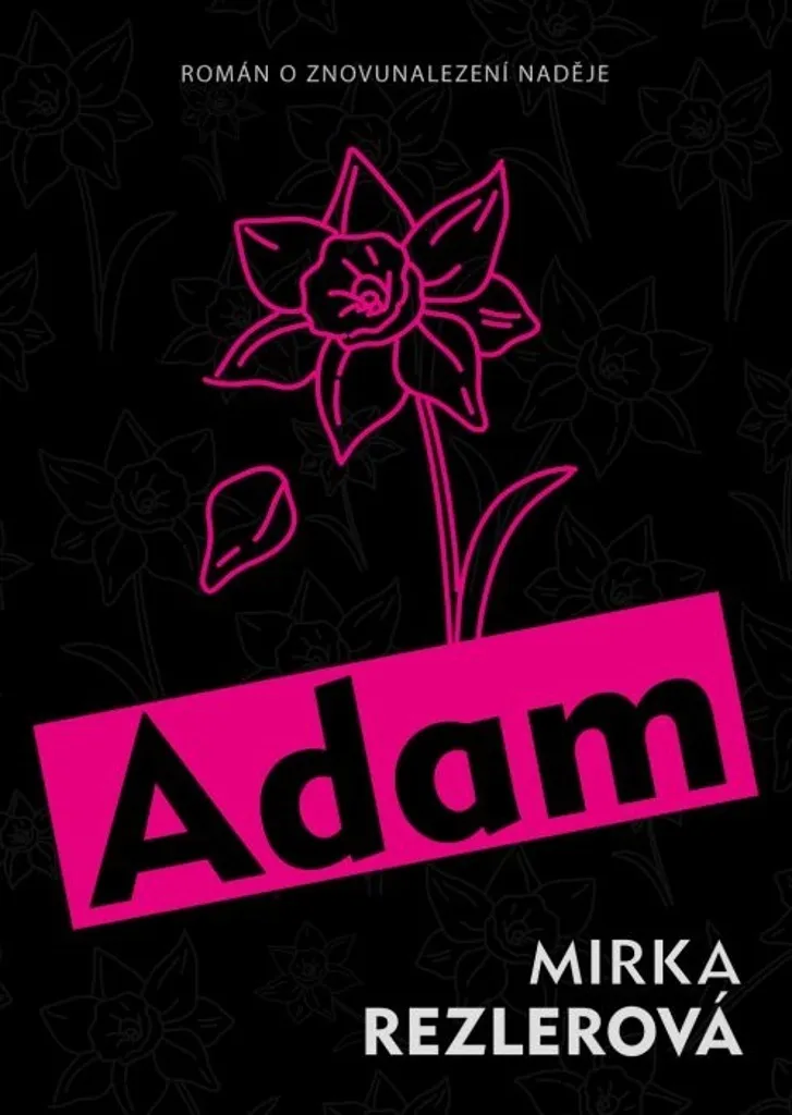 Affiche d'Art Contemporain Adam - Poster de Collection Mirka Rezlerová